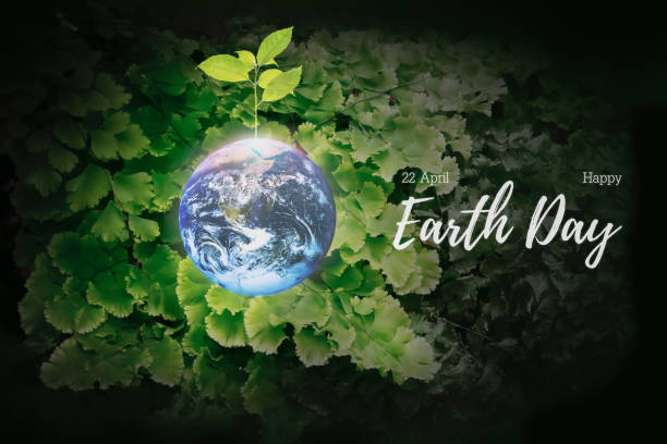 istock Image of glowing earth with bright and freshness small tree symbol for support earth day celebration on green adiantum fern in dark forest.Earth image furnished by NASA. 1495309809