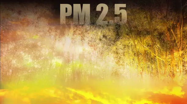 Image effect of severe forest fire produce heavy smoke, dust and PM2.5 air pollutant with many trees in jungle background.Image used for air quality report background.