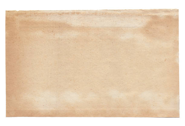 istock Vintage background of old paper texture isolated 1495312634