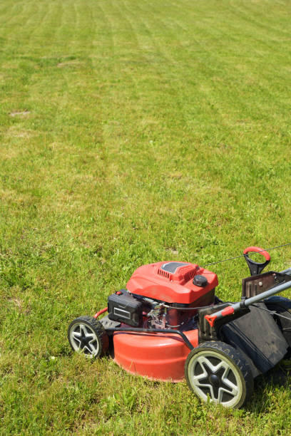 istock Lawn mower on cut grass. Mowing the grass. 1495313372