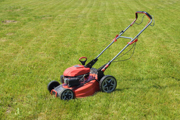 istock Lawn mower on cut grass. Mowing the grass. 1495313383