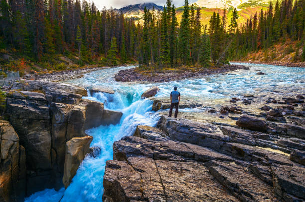 escursionista alle f upper sunwapta falls nel jasper national park, canada - parco nazionale di jasper foto e immagini stock