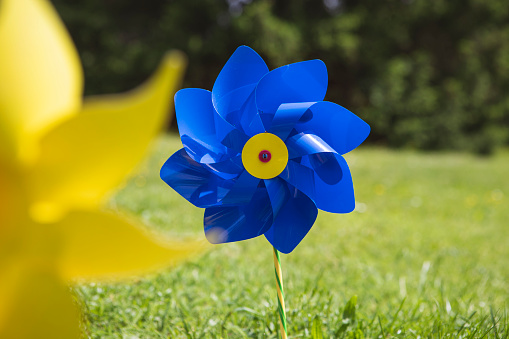 Close-up of blue toy windmill in the garden. Pinwheel on the meadow, green grass, summer time, childhood concept.
