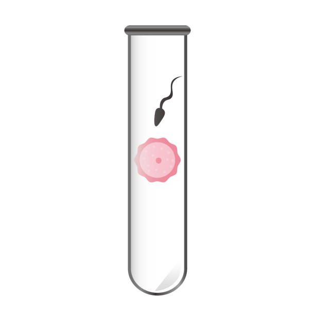 受精、精子、卵細胞のアイコンベクターイラストシンボル - human sperm eggs human egg sex点のイラスト素材／クリップアート素材／マンガ素材／アイコン素材