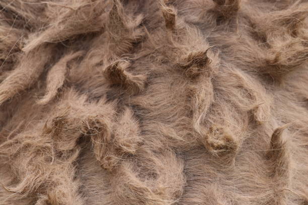 Horse hair