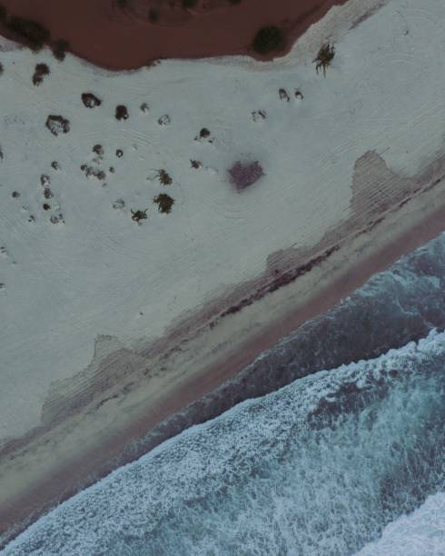 istock Aerial view of a beach 1495324400