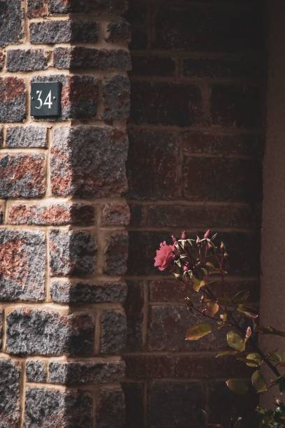 istock Stone porch providing a shadow behind a single rose 1495328102