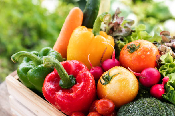 istock Wooden crate filled with fresh organic vegetables 1495329057