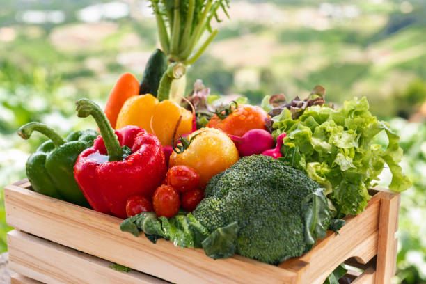 istock Wooden crate filled with fresh organic vegetables 1495329062