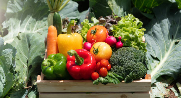 istock Wooden crate filled with fresh organic vegetables 1495329080