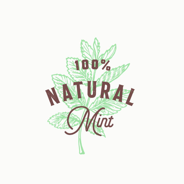 Natural Mint Abstract Vector Sign, Symbol or Emblem Template. Hand Drawn Mint Branch Leaves with Premium Vintage Typography. Stylish Vintage Vector Emblem Concept. Natural Mint Abstract Vector Sign, Symbol or Emblem Template. Hand Drawn Mint Branch Leaves with Premium Vintage Typography. Stylish Vintage Vector Emblem Concept. Isolated. naming organic compounds stock illustrations