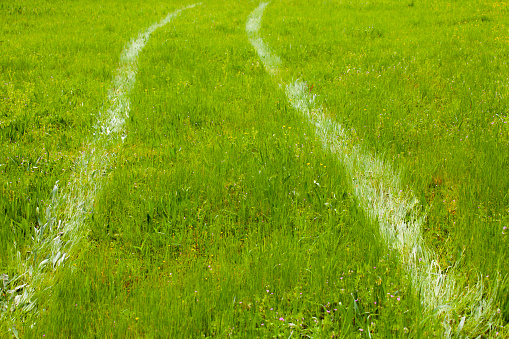 Rural landscape, Ourense province, Galicia, Spain. Grass and car track.