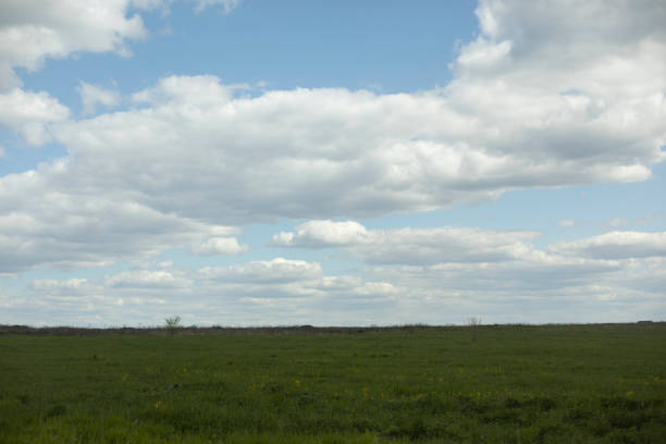 Green field. Outdoor space. Clouds above ground. Summer landscape.