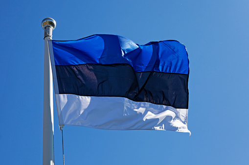 Estonian flag waving in the summer wind
