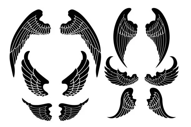 Vector illustration of Set of  illustration of a pair of wings in black and white,  done in a tattoo-style. Angel wings. illustration of bird wings.