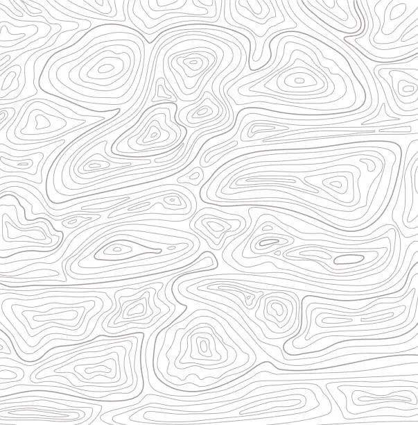 Vector illustration of Vector Topographic Map Background Gray on White. Line Topography Pattern. Mountain Hiking Trail Over Terrain. Contour Background Geographic Grid.
