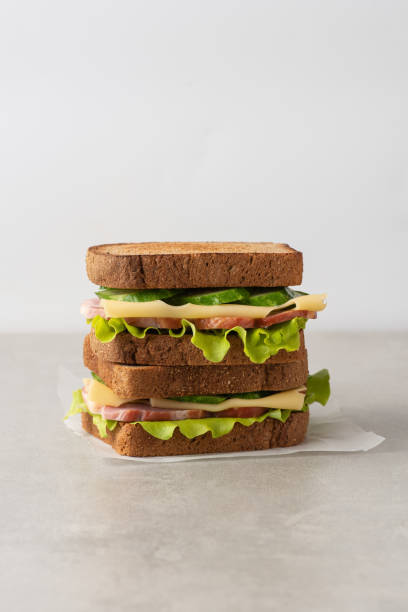 istock Sandwich with mortadella, cheese and tomatoes on a gray table 1495342793