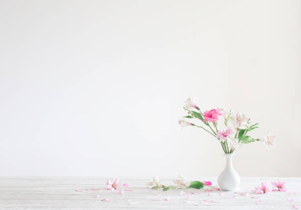 istock pink and white flowers in vase on white background 1495344785