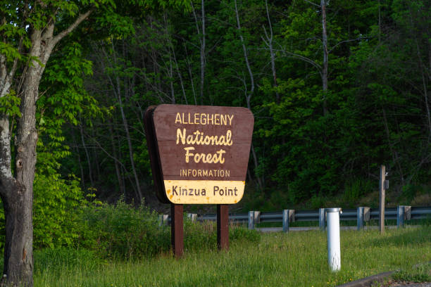 istock Allegheny state park summer vacation destination, outdoor prosuite 1495345502