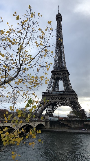 Fall leaves near the Eiffel Tower
