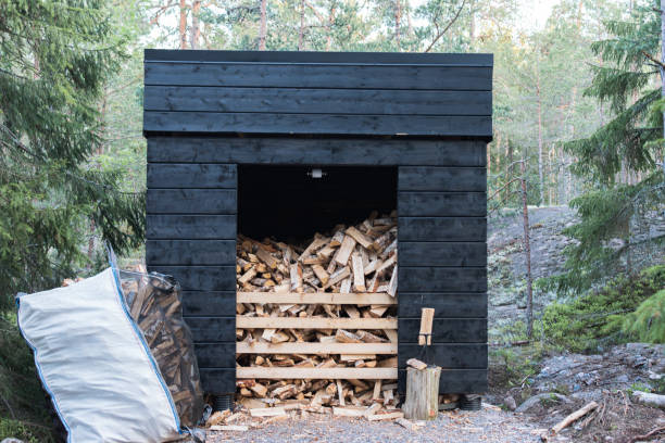 istock firewood for a picnic in the forest 1495352349