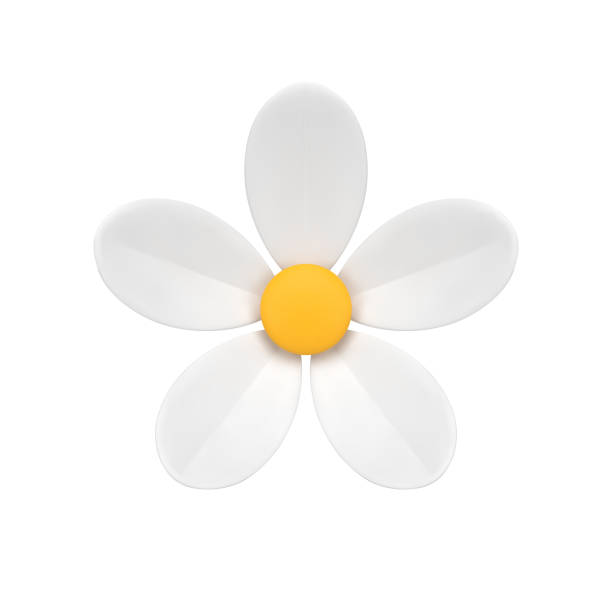 istock Chamomile bud natural flower summer ecology environment floristic plant 3d icon realistic vector 1495352641