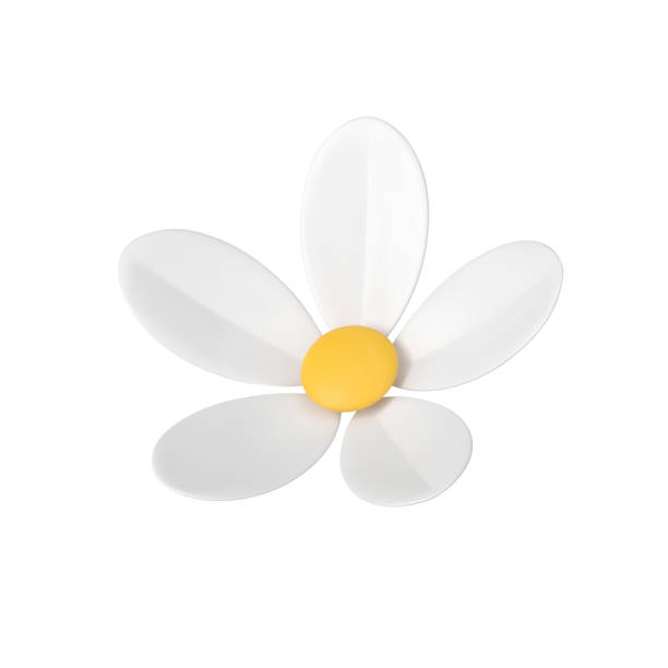 istock Romantic chamomile natural organic flower botanical blossom bud isometric 3d icon realistic vector 1495352650