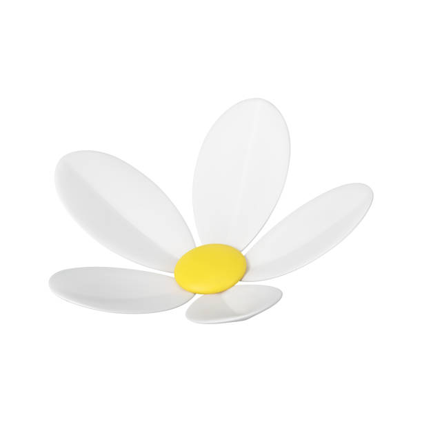 istock Flower chamomile natural bud floristic organic botanical blossom decor 3d icon realistic vector 1495352658