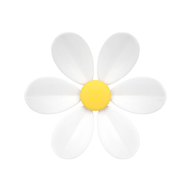 istock Chamomile organic bud flower botanical bloom with six petals natural ecology 3d icon vector 1495352667