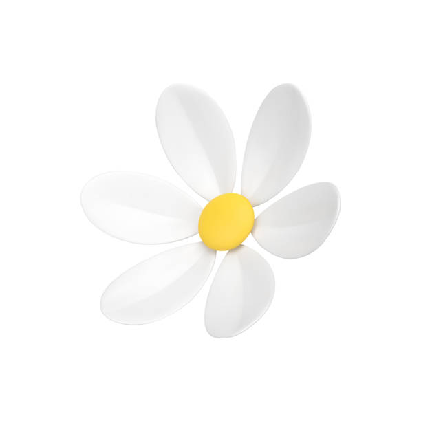 istock Beauty chamomile organic flower bud ecology botanical blossom isometric 3d icon realistic vector 1495352680