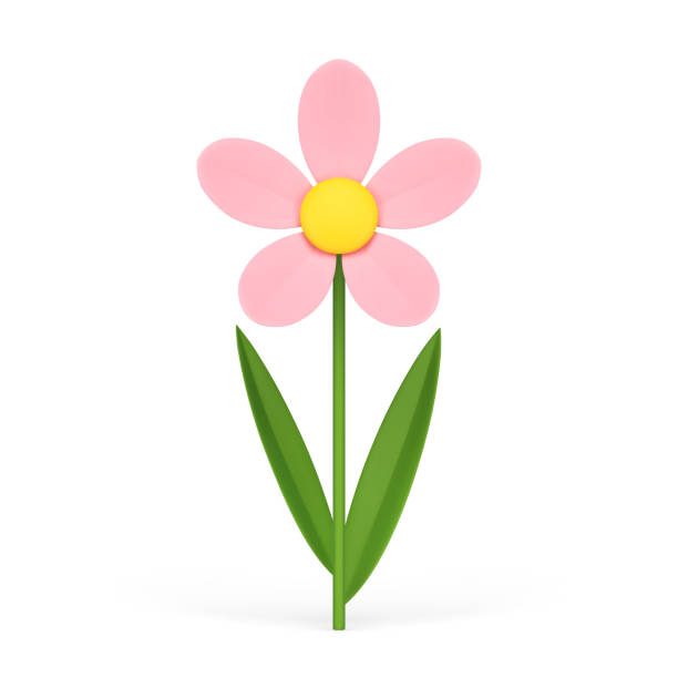 istock Pink fresh chamomile flower romantic plant with stem bud petal and leaves 3d icon realistic vector 1495352707