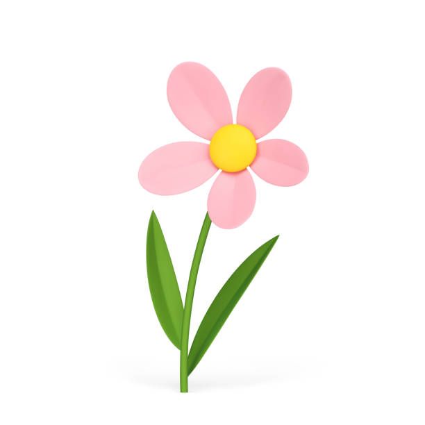 istock Cute pink chamomile romantic beauty organic fresh natural flower elegant decor 3d icon vector 1495352708