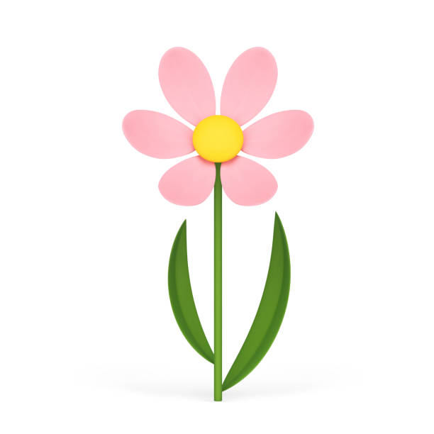 istock Pink organic fresh chamomile natural flower stem curved leaves 3d icon realistic vector illustration 1495352725