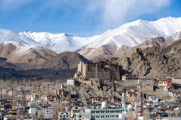 istock Leh Palace in Ladakh, India 1495354556
