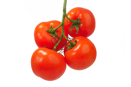 Four tomatoes on a vine hanging and floating in the air, front view studio shot isolated on white background