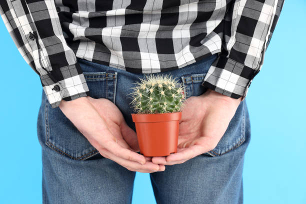 istock Man holds cactus near bottom. Hemorrhoids concept 1495358088