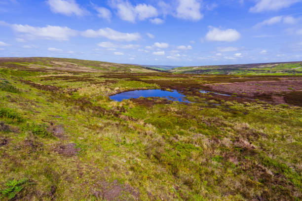 istock Moorland Landscape, Farndale, North Yorkshire Moors 1495360082