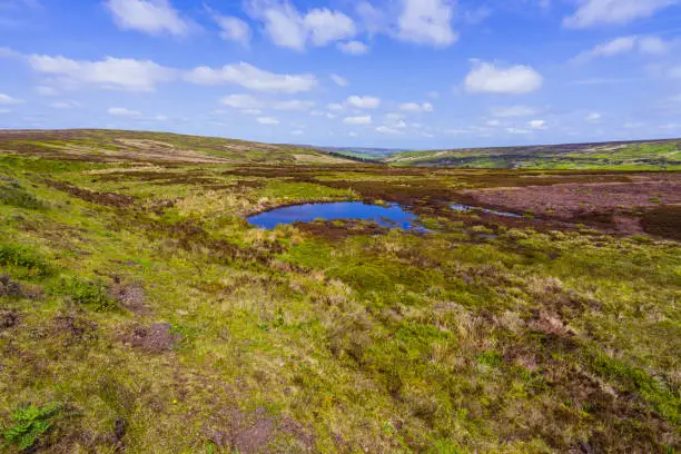 Small Pond and heather moorland in Farndale, North Yorkshire Moors, UK