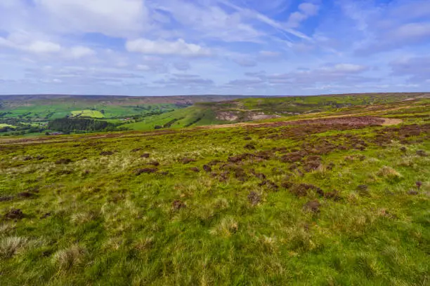 View across the Heather Moorland in Farndale, North Yorkshire Moors National Park, UK