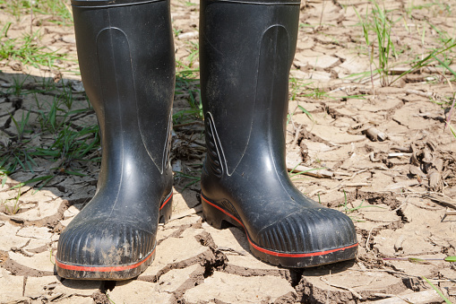 Farmer with black rubber boots stands on a dried up grain field in the hot sun. Climate change symbol, dwindling harvests and water shortages.