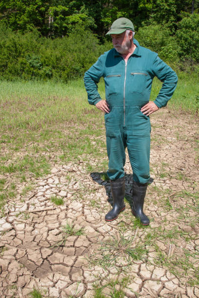 Helplessness, farmer reflects on the devastation on his parched field. stock photo