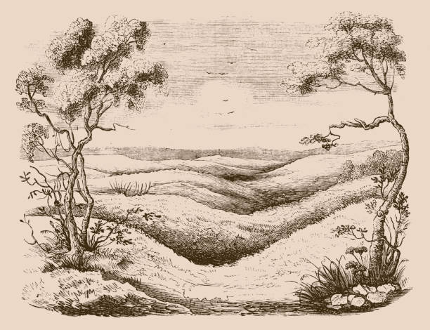Depressions in the ground by sinkholes