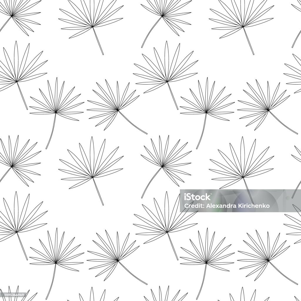 Palm Fan Pattern Fan Palm Leaf Pattern Stock Illustration - Download Image Now ...