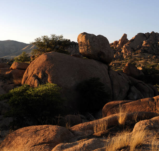 istock Texas Canyon Sonora Desert Arizona 1495369808