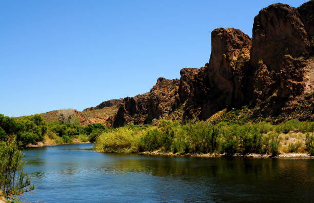 istock Salt River Recreation Area Arizona 1495369960