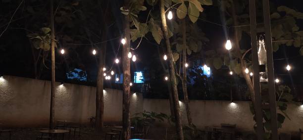 istock the cafe garden 1495370875