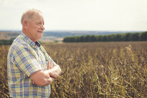 Senior farmer standing and looking out over his field