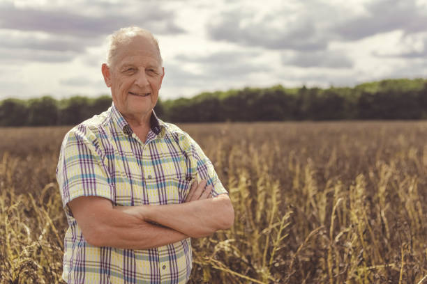 istock Proud senior farmer standing infront of his field 1495371114