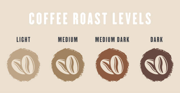 illustrations, cliparts, dessins animés et icônes de illustration vectorielle des niveaux de torréfaction du café sur fond clairillustration vectorielle des niveaux de torréfaction du café sur fond clair - rôti