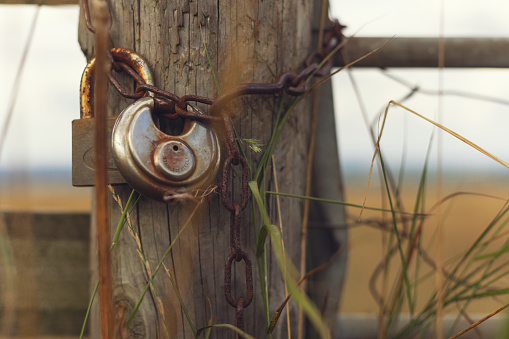 Closeup of old padlock and metal chain hanging on gate to a field, with copy space